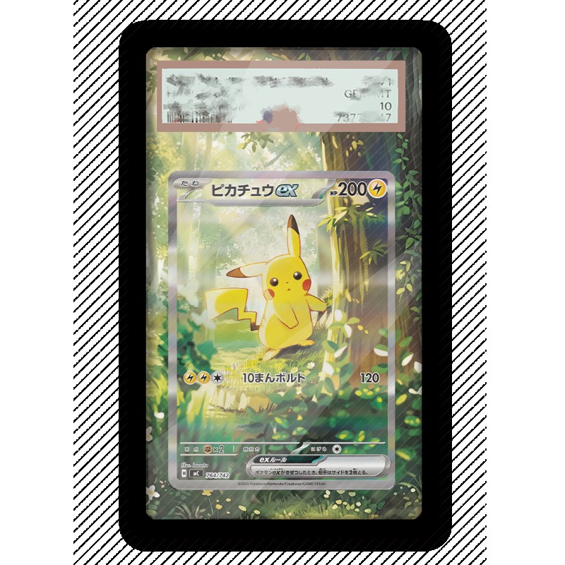 Display Kartu Pokemon Pikachu  - Anime Merchandise Usa ulasan dan harga